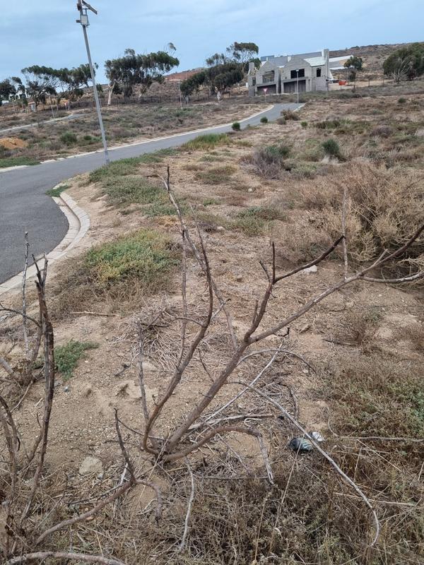3 Bedroom Property for Sale in St Helena Views Western Cape